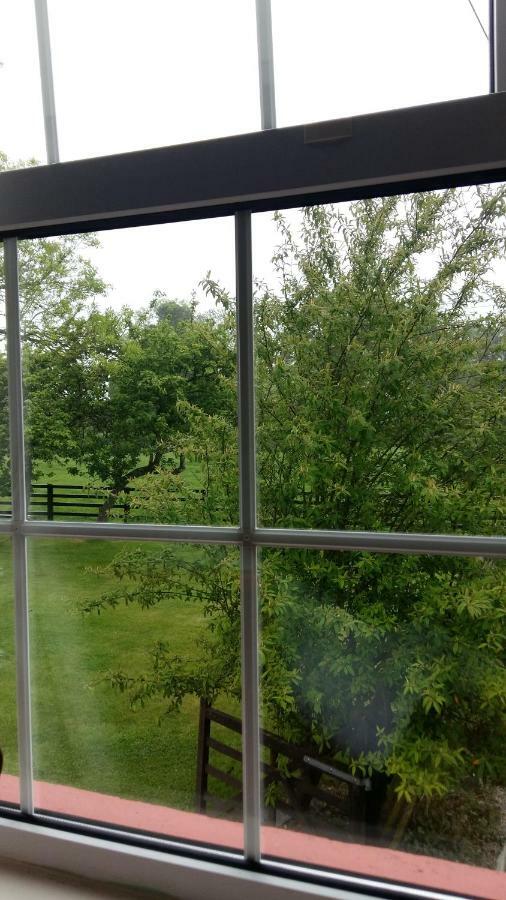 Clonard Farm B&B Kültér fotó